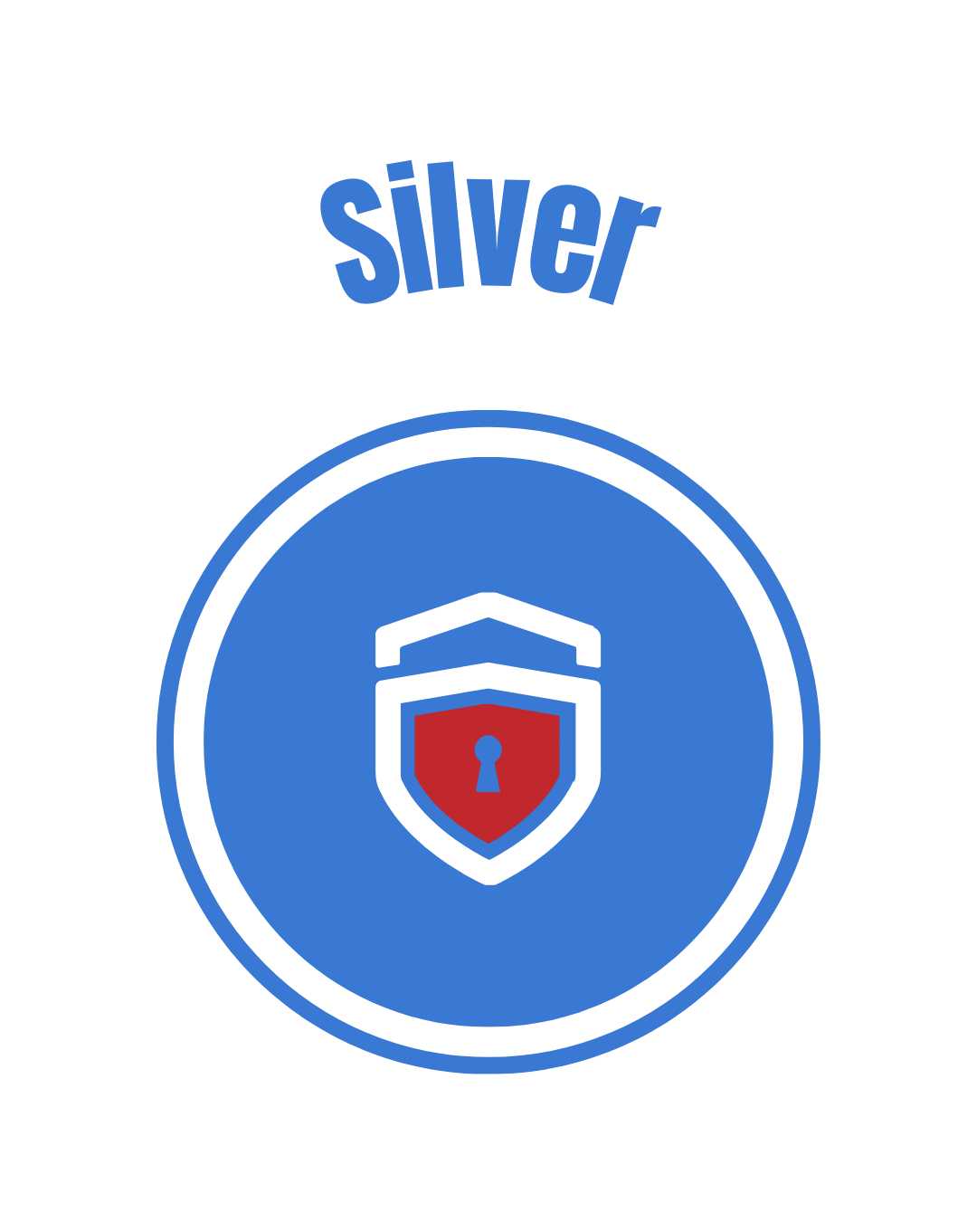 Silver Logo